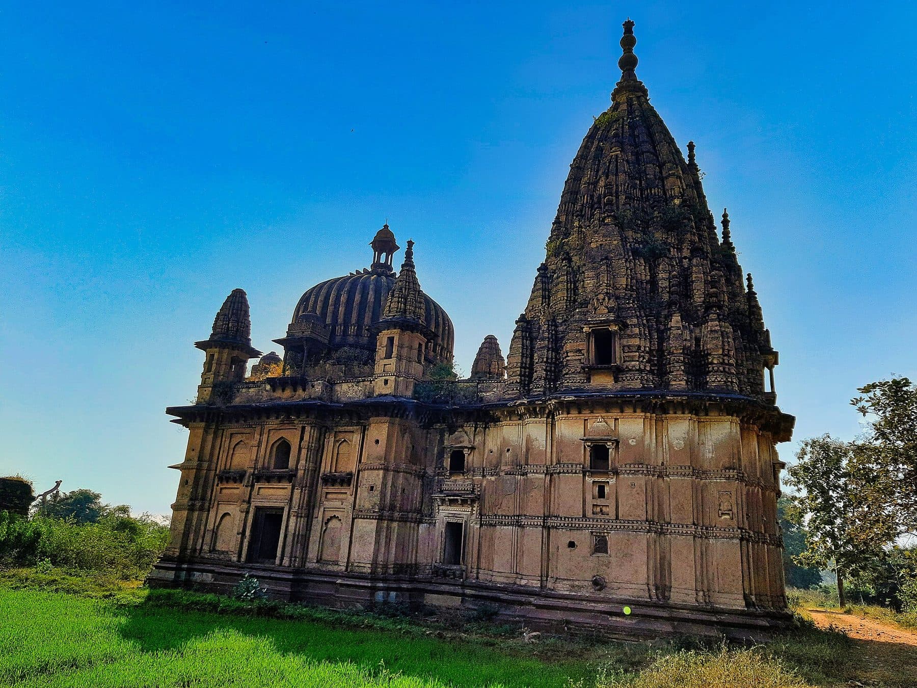 Madhya Pradesh Tour: Orchha, Khajuraho & Bandhavgarh Tiger Safari (6 Days)