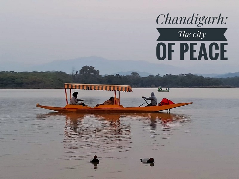 Chandigarh-the-city-of-peace