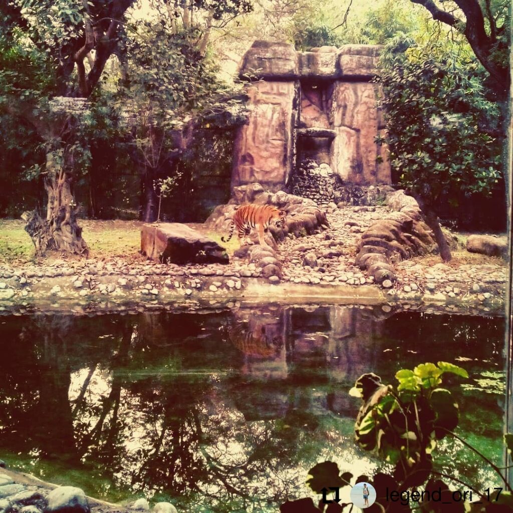 Alipore Zoological Garden, Kolkata