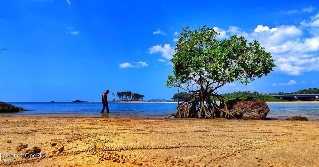 Beach of Goa