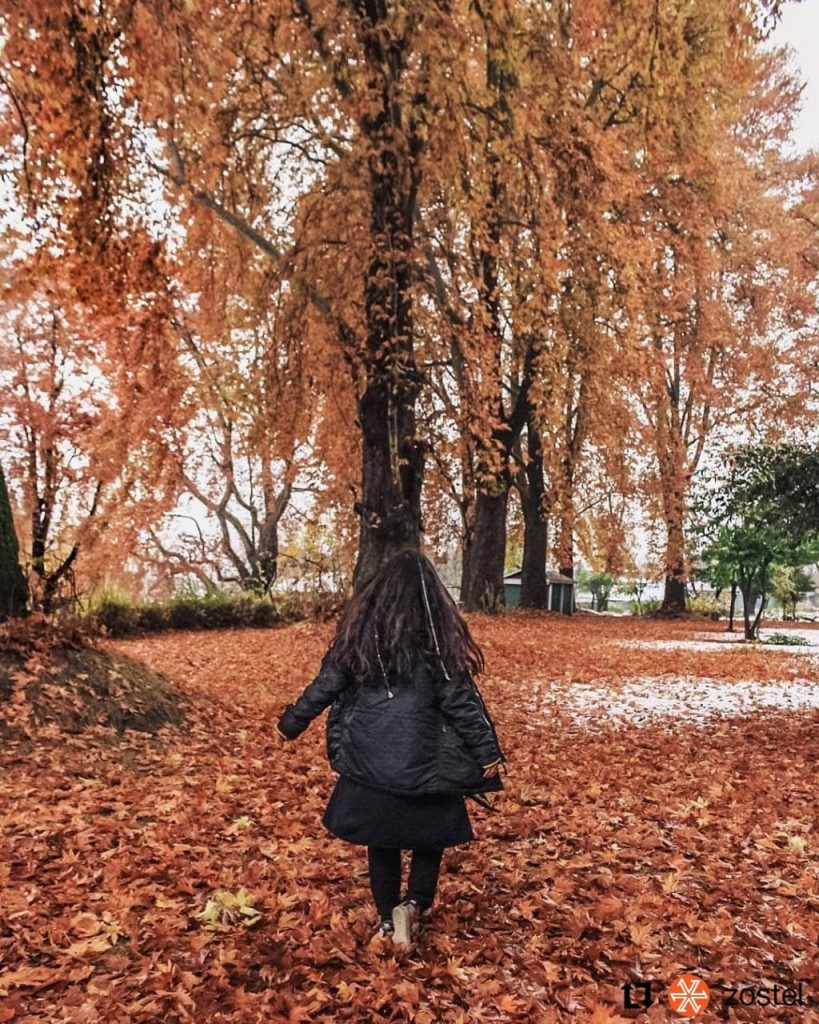 Nishat Bagh, Srinagar