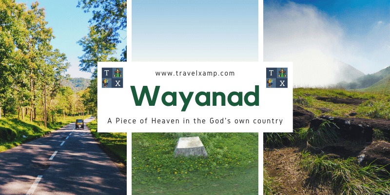 Wayanad: A Piece of Heaven in the God's own country