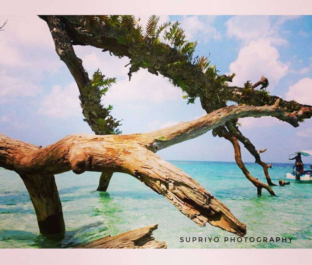 Elephant Beach, Andaman & NIcobar Islands