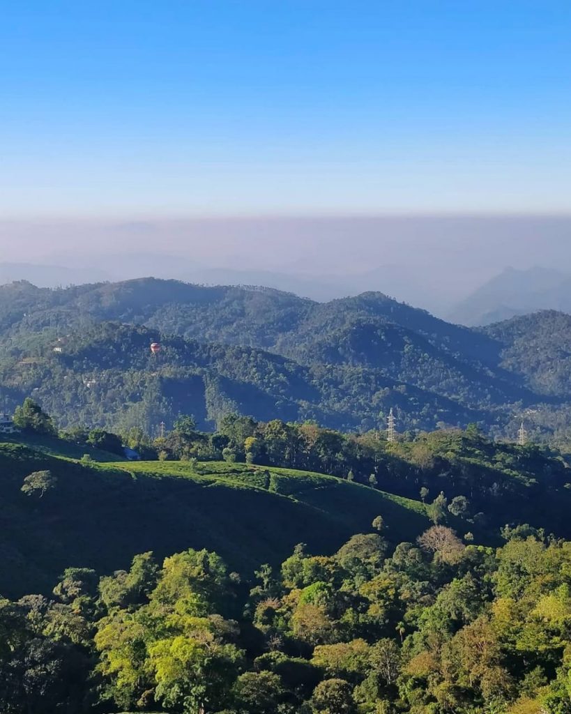 Munnar, Kerala