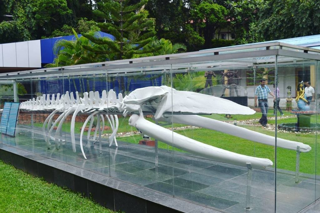 Samudrika Naval Marine Museum, Andaman