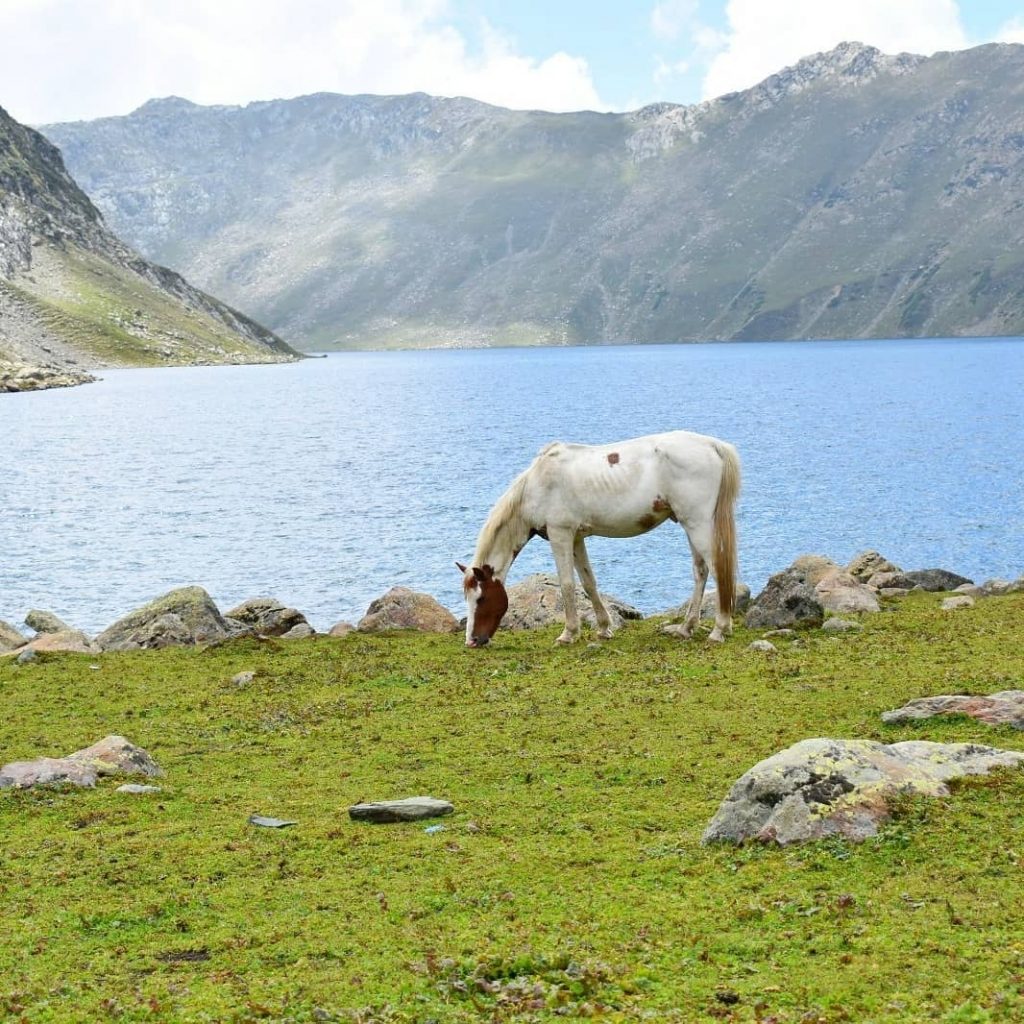 Tarsar lake