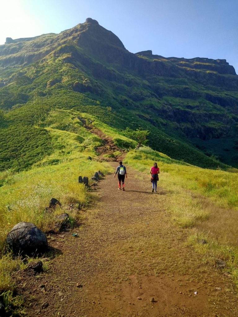 Pune Nature