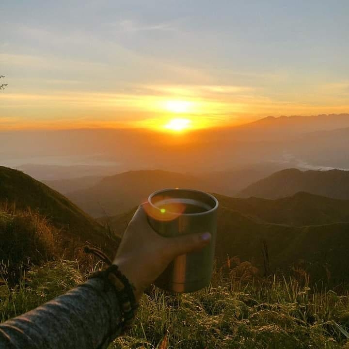 Coffee in the Mountain