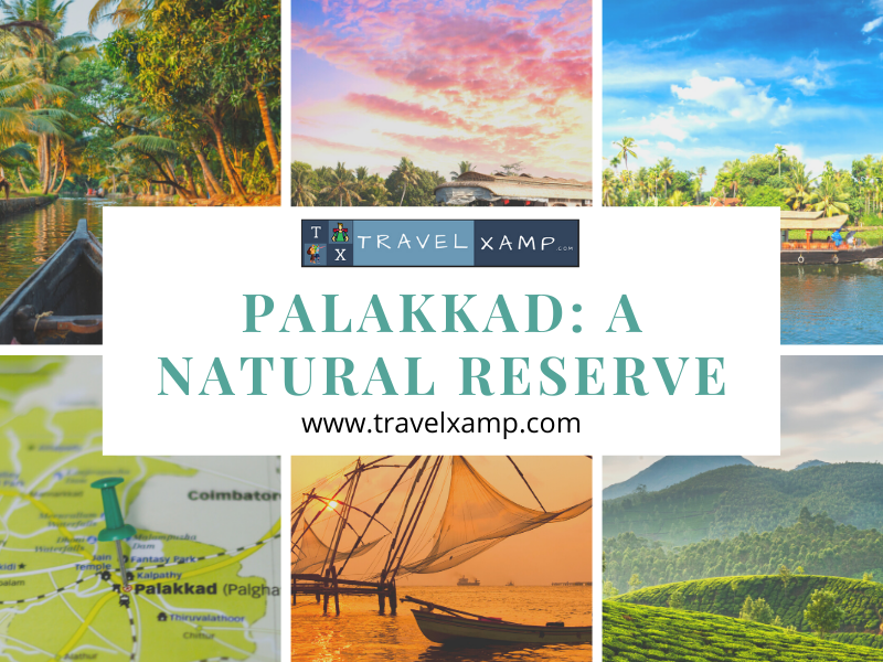 Palakkad: A Natural Reserve