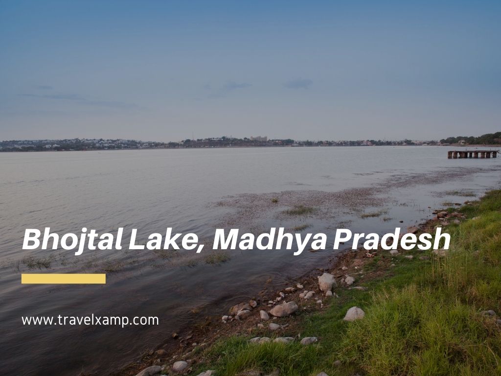 Bhojtal Lake, Madhya Pradesh