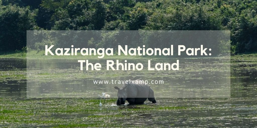 Kaziranga National Park: The Rhino Land