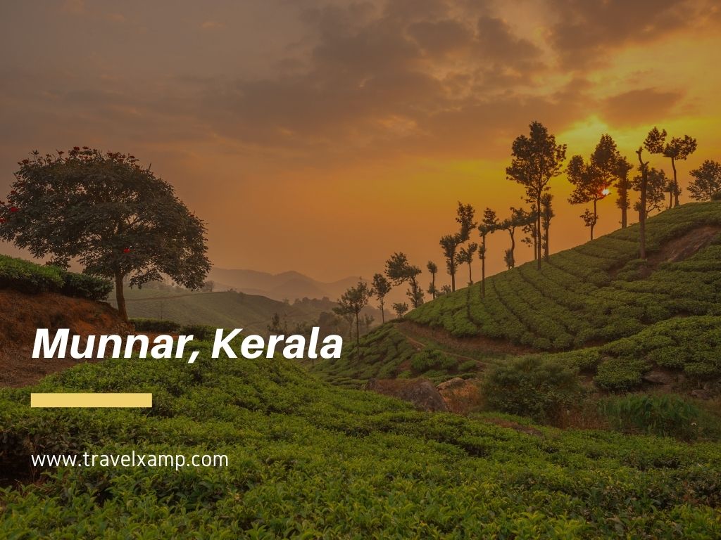 Munnar, Kerala