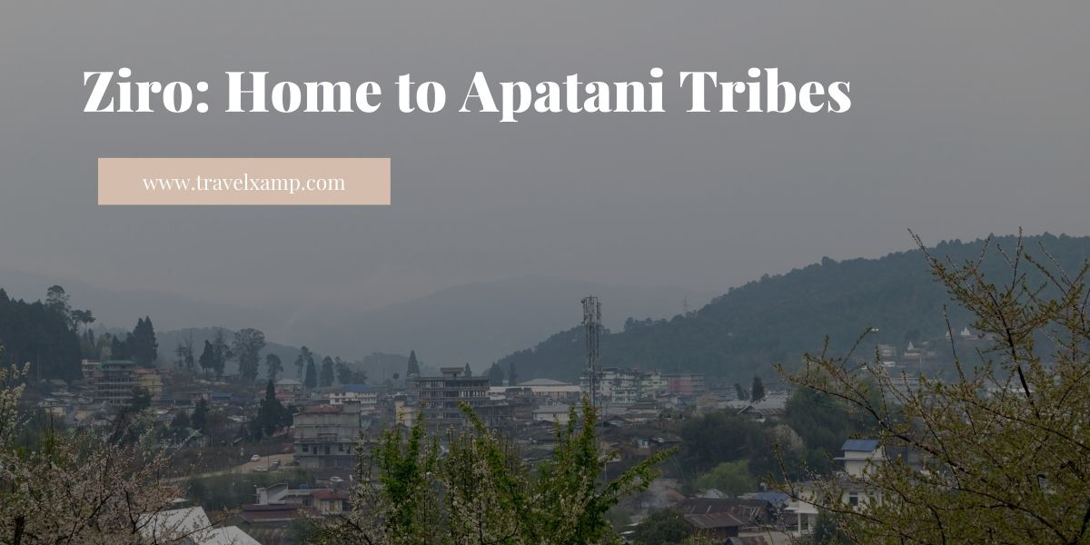 Ziro, Arunachal Pradesh: Home to Apatani tribe