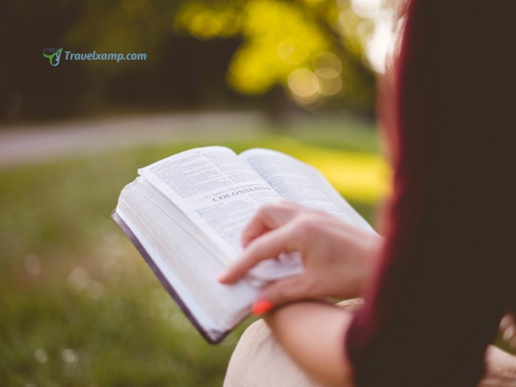 Book Reading in Travelling