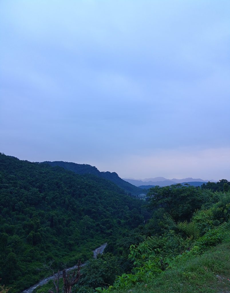 forest checkpost